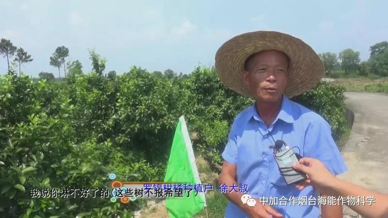 顆粒水溶肥