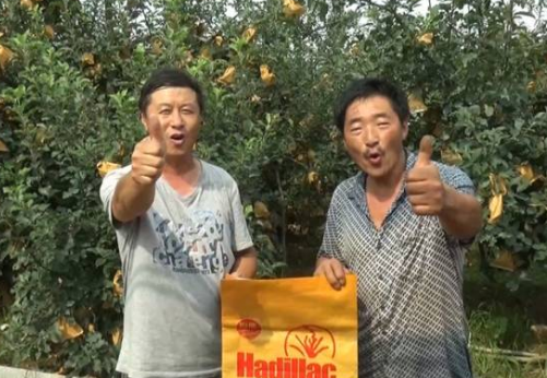 持續大旱突遇大雨侵襲果園 海帝拉克如何扭轉乾坤