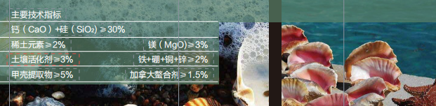 香蕉视频啪啪甲殼素活性中微量91香蕉视频APP污下载